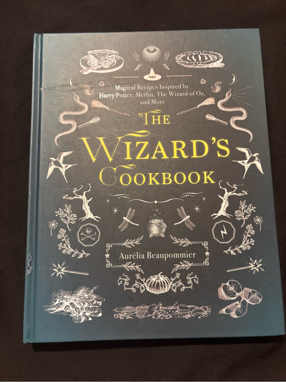 The Wizard's Cookbook by Aurélia Beaupommier